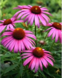 ChatGPT Image 2026년 1월 21일 오후 10_03_53-01