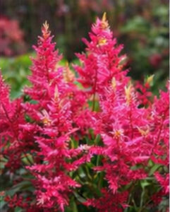 ChatGPT Image 2026년 1월 21일 오후 10_03_53-03