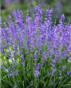 ChatGPT Image 2026년 1월 21일 오후 10_03_53-04