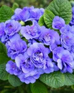 ChatGPT Image 2026년 1월 21일 오후 10_03_53-05