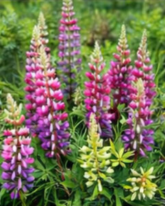 ChatGPT Image 2026년 1월 21일 오후 10_03_53-06