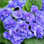 ChatGPT Image 2026년 1월 21일 오후 10_03_53-08