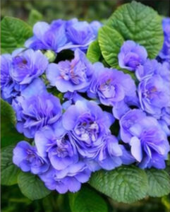 ChatGPT Image 2026년 1월 21일 오후 10_03_53-08