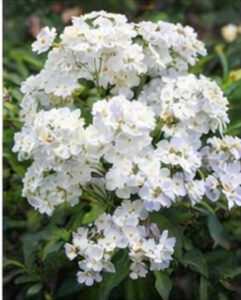 ChatGPT Image 2026년 1월 21일 오후 10_03_53-09