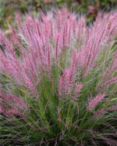 ChatGPT Image 2026년 1월 21일 오후 10_03_53-10