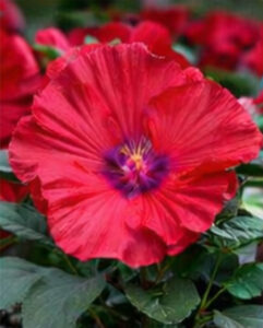 ChatGPT Image 2026년 1월 21일 오후 10_03_53-11