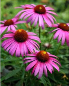 ChatGPT Image 2026년 1월 21일 오후 10_03_53-12