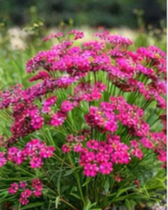 ChatGPT Image 2026년 1월 21일 오후 10_03_53-13