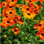 ChatGPT Image 2026년 1월 21일 오후 10_03_53-15
