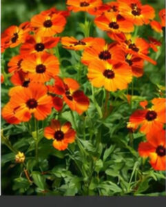 ChatGPT Image 2026년 1월 21일 오후 10_03_53-15