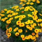 ChatGPT Image 2026년 1월 21일 오후 10_03_53