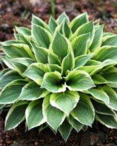 ChatGPT Image 2026년 1월 21일 오후 10_03_53-16