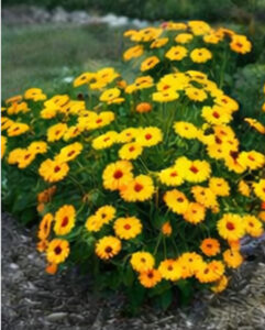 ChatGPT Image 2026년 1월 21일 오후 10_03_53